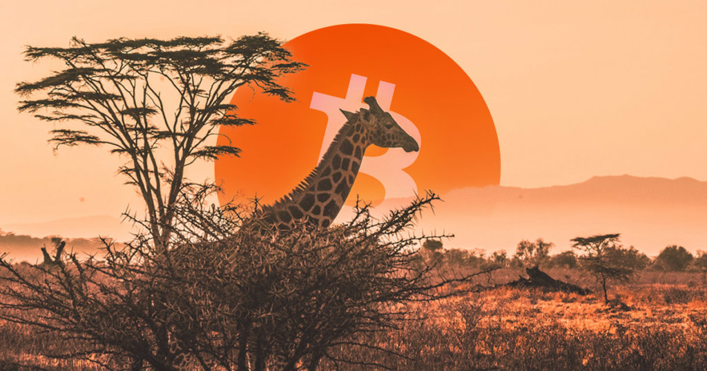 Data: Bitcoin (BTC) adoption grows 1,200% in Africa