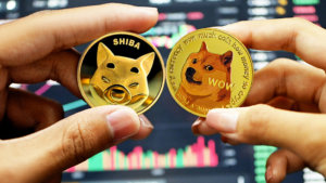 Dogecoin jumps 40% as ‘long DOGE, short SHIB’ trade plays out