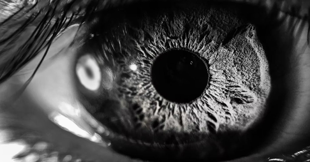 Worldcoin wants to scan your eyeballs. But its founder says that’s the ‘future of privacy’