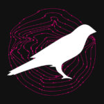 Is Kusama (KSM) about to shed its “canary network” label?