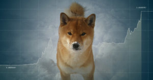 Shiba Inu (SHIB) defies critics with buoyant NFT demand and new all-time high