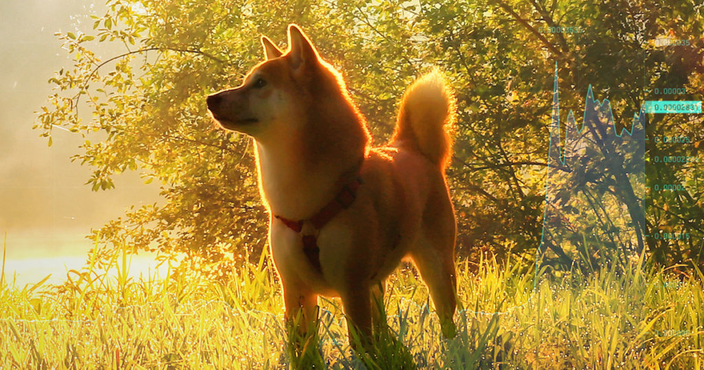 Analysts say these reasons were behind Shiba Inu’s (SHIB) 300% rise last month