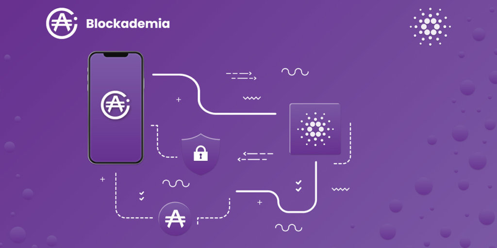 Document authentication system Blockademia: How does it work?