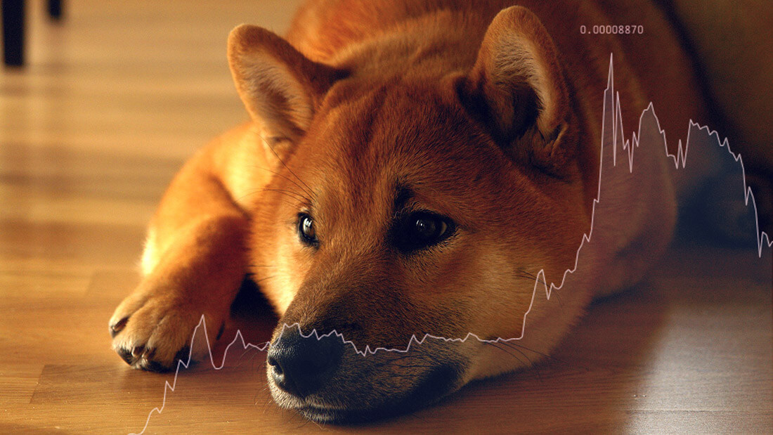 Dogecoin  latest dogecoin news What next for Shiba Inu (SHIB) following its 50% crash? thumbnail