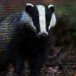 Was Celsius the ‘biggest victim’ in the recent BadgerDAO exploit?