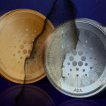 Cardano community responds to previously fixed dApp issue