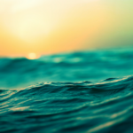 Waiting for the Dawn… When choosing between staking and LP becomes a nightmare