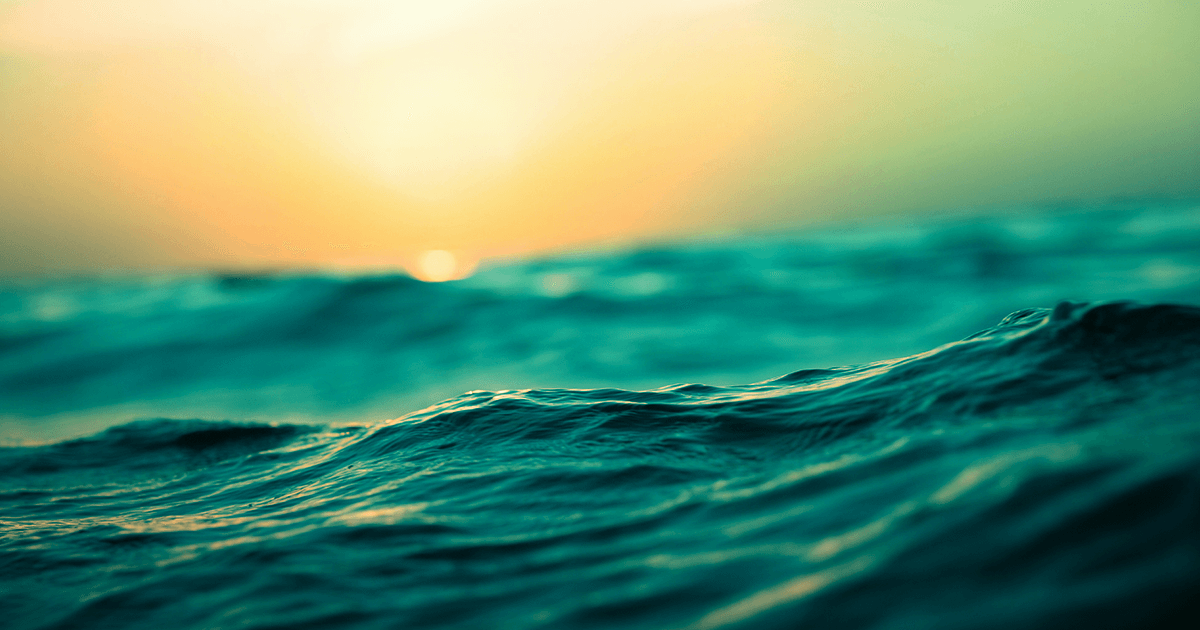 Waiting for the Dawn… When choosing between staking and LP becomes a nightmare