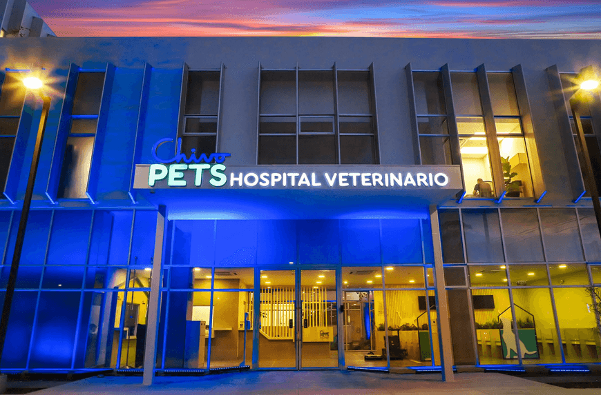Bitcoin funded Chivo Pets Hospital 