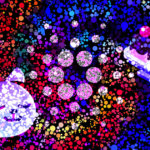 Move over SundaeSwap, Minswap takes top spot as Cardano TVL jumps to $272 million