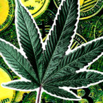 Cannabis Company to raise funds by selling equity via Crypto