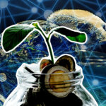 Controversial WeWork founders back with crypto solution for climate change