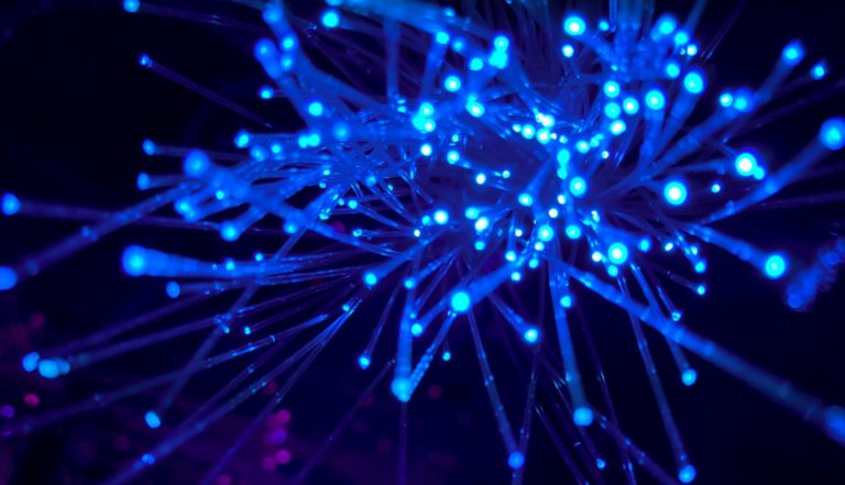 In uncertain times for crypto, the seriesOne LIVA fund provides the hope of stability