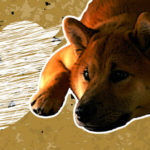 Shiba Inu founder Ryoshi deletes posts, articles sparking FUD within the community