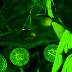 American couple accused of laundering stolen Bitfinex funds arrange plea deal