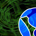 Terraform Labs caught moving $4.8M through shell company