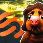 Solend founder reveals what happened behind the scenes during its whale liquidation event