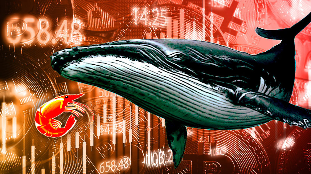 Research: Shrimps vs. Whales — Small holders accumulate Bitcoin as whales dump