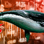 Research: Shrimps vs. Whales — Small holders accumulate Bitcoin as whales dump