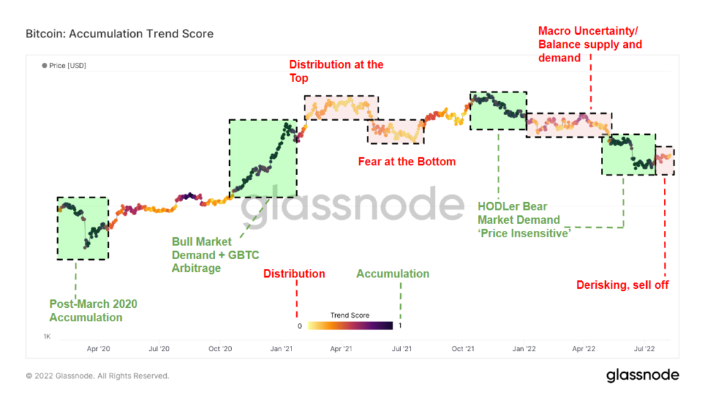Research: Bitcoin accumulation trend score shows shrimps buying, whales ...