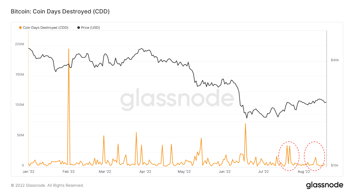 Bitcoin días monedas destruidas