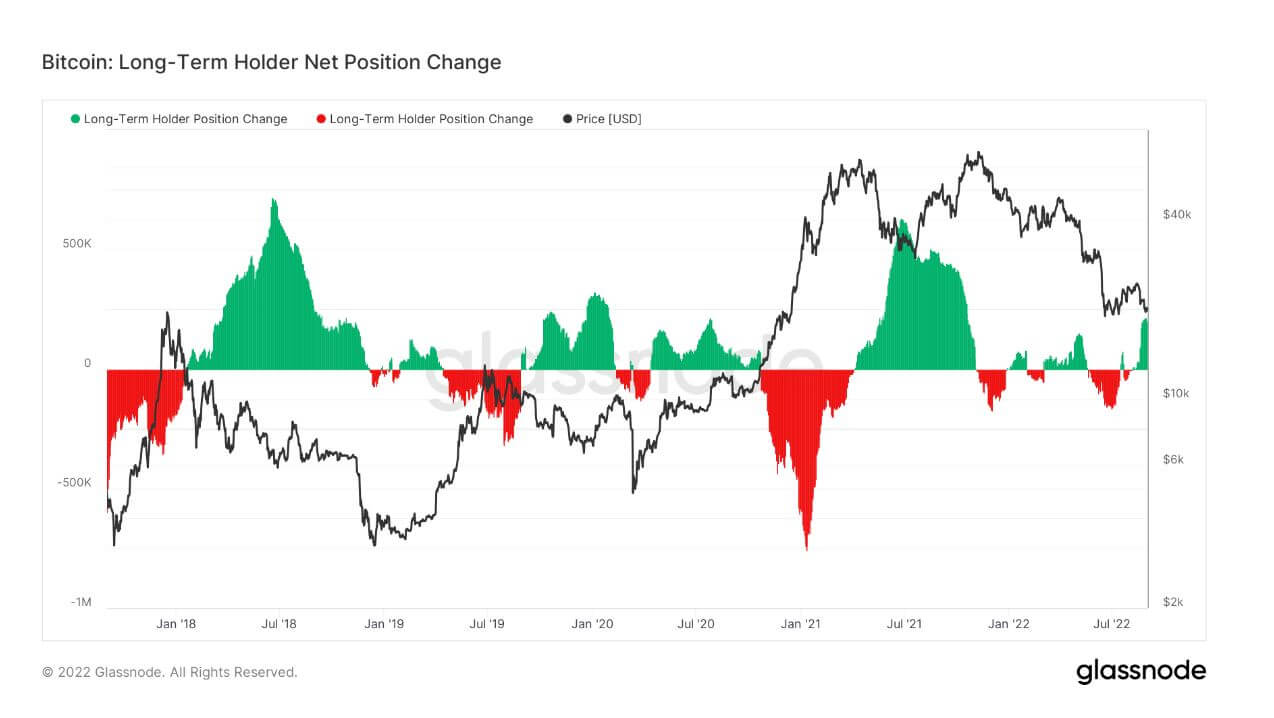 Long-term Holder Net Position Change