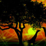 African blockchain investments surpass 2021’s total of $127M