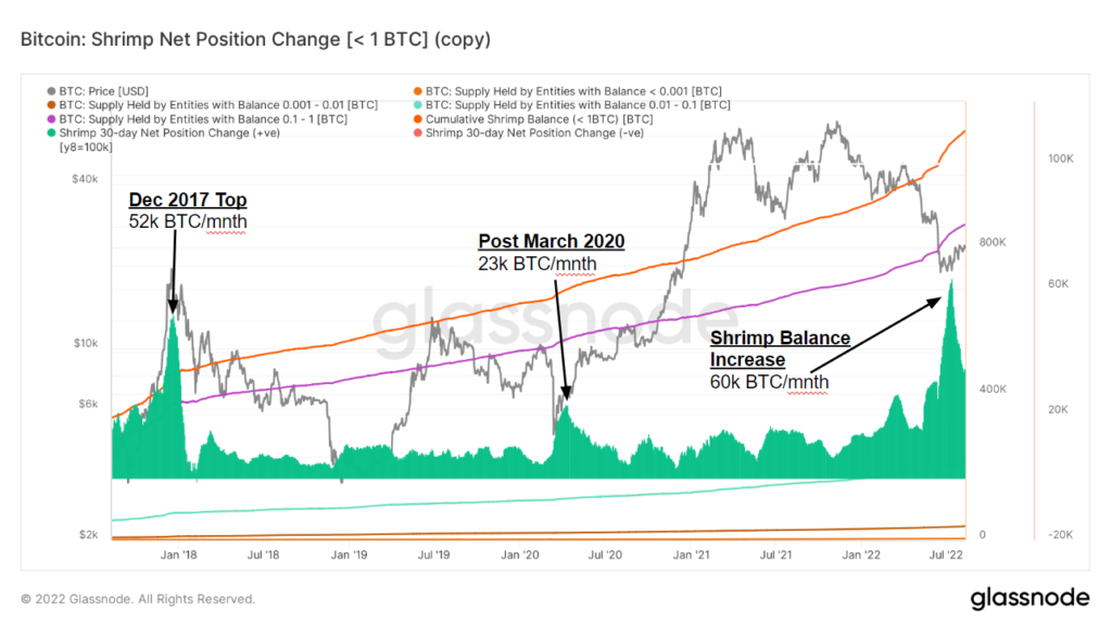 Research: Bitcoin accumulation trend score shows shrimps buying, whales ...