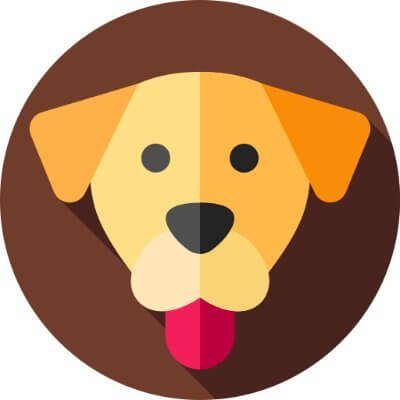 Green Ben (EBEN) - Price, Chart, Info | CryptoSlate
