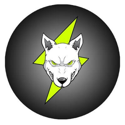 Volt Inu V2
