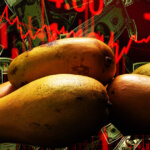 Mango Markets hacker rugpulls Mango Inu after warning investors would “definitely lose all your money”