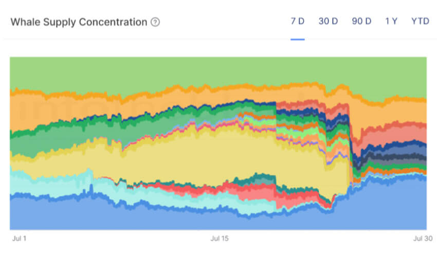 Whale stock concentration