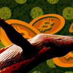 Research: In spite of FTX catastrophe, Bitcoin whales lead aggressive accumulation phase