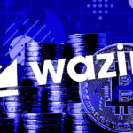 WazirX to share Proof of Reserves with the public