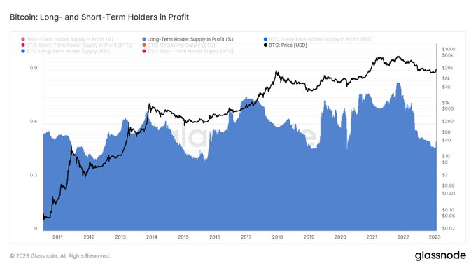 Bitcoin long and short term profit holders