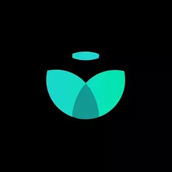 Tender.fi (TND) - Price, Chart, Info | CryptoSlate