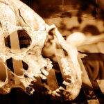 Low volume killed 66% of coins in last 10 years