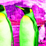 Pudgy Penguins launches cross-chain transactions for Polygon, BNB Chain, Arbitrum