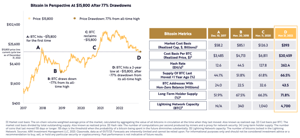 Bitcoin's strength today vs. past downturns (Source: ARK Invest).