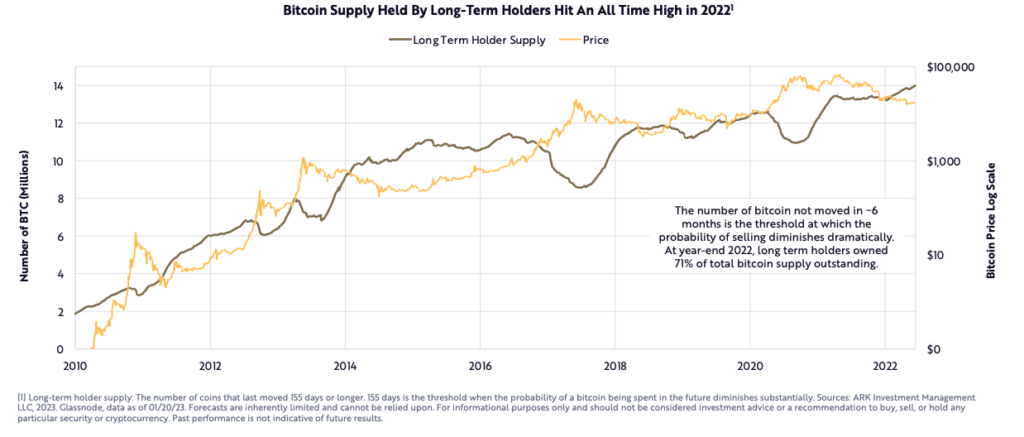 Các chỉ số tập trung dài hạn của Bitcoin vẫn mạnh (Nguồn: ARK Invest)