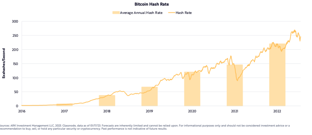 Tỷ lệ băm của Bitcoin đạt mức cao nhất mọi thời đại vào năm 2022 (Nguồn: ARK Invest)