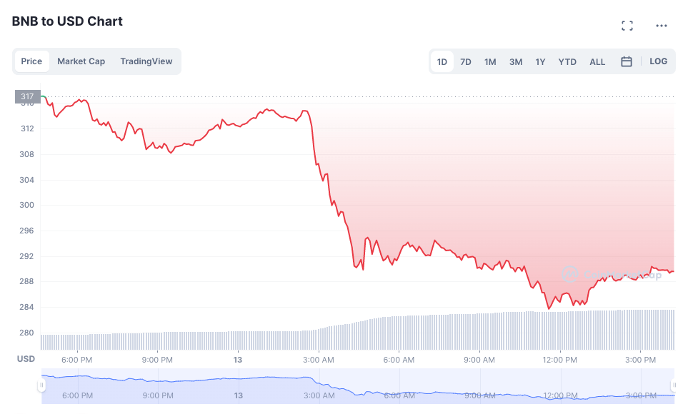 BNB Token Price Plunges More Than 9% On Feb 13 (Source Coin Market Cap)