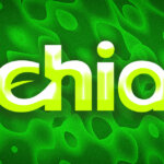 Chia founder argue XCH is not security, plans to register with SEC