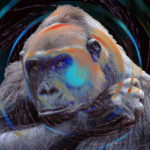 Shredded Apes LP drained, 78M tokens liquidated