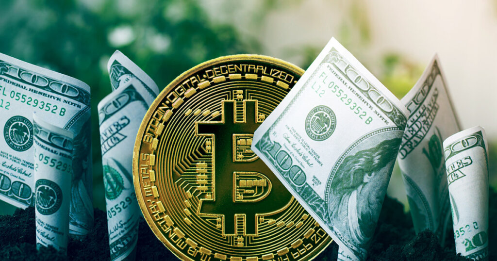 Venture crypto investing down 75%, but ‘native-VCs’ continue staying course
