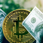 Venture crypto investing down 75%, but ‘native-VCs’ continue staying course