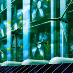 More than 50% of Bitcoin mining uses renewable energy