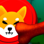 Shibarium set for public beta rollout – BONE token sees 23% spike