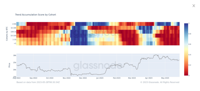 Bitcoin breaks $28k threshold on debt ceiling decision, whales continue to accumulate