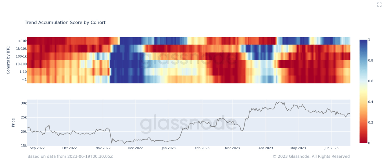 Accumulation Trend Score by cohort: (Source: Glassnode)